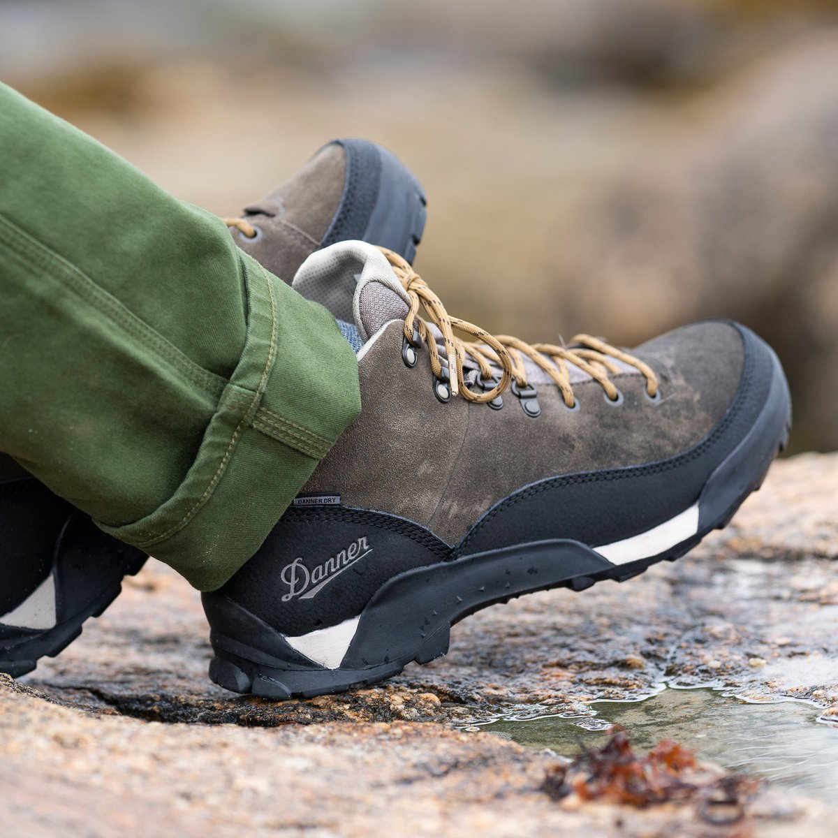 Panorama Low 4" Black Olive