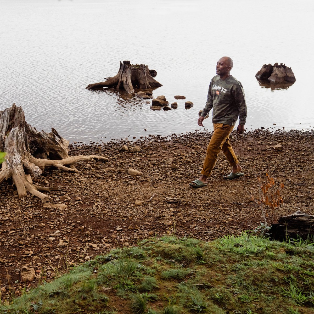 Shelter Cove Forest